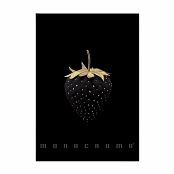 Školský zošit Pigna Monochromo Gold A4 linajkový, 40 listov, mix elegantných motívov.